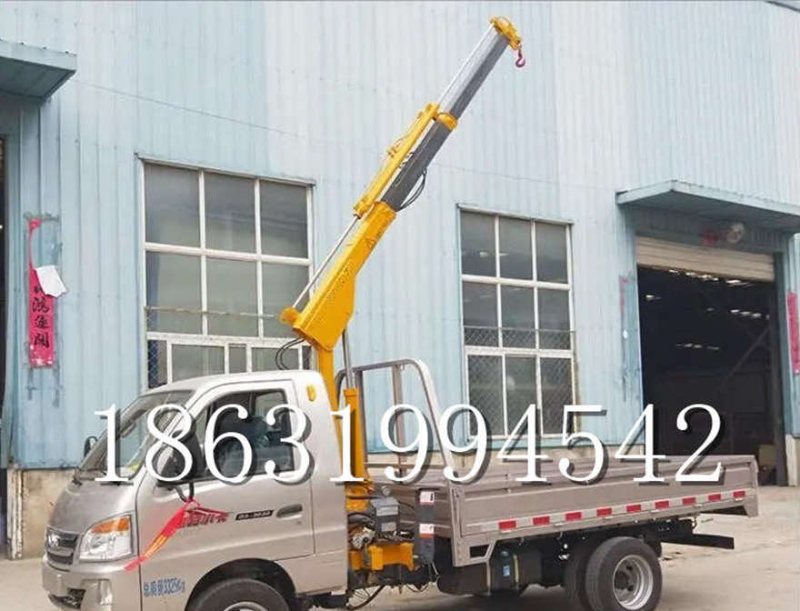 灌阳县车载吊机家用车车载吊机220v移动吊机小型车载吊机车载灌阳县附近